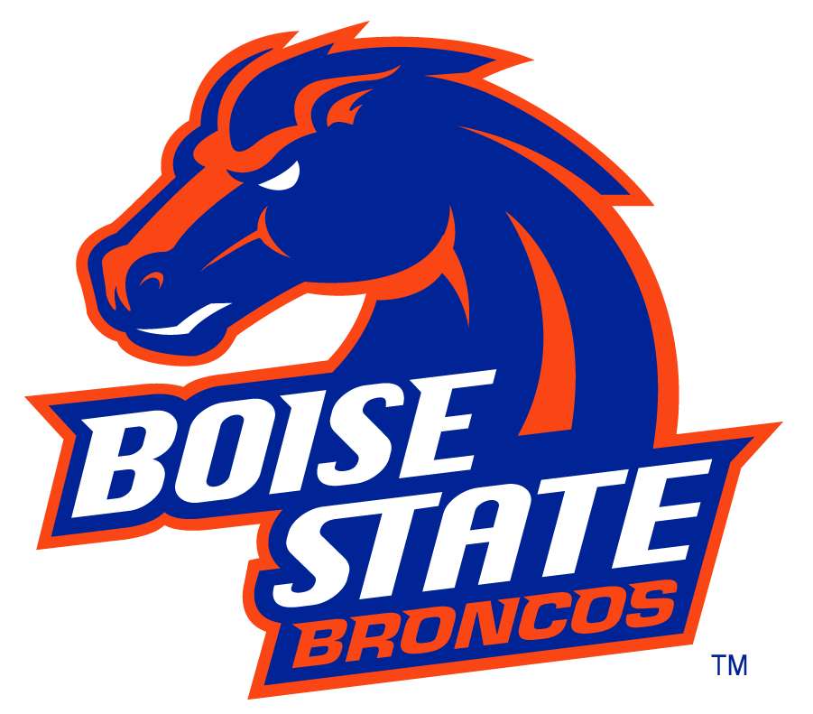 Boise State Broncos 2002-2012 Secondary Logo v29 diy iron on heat transfer